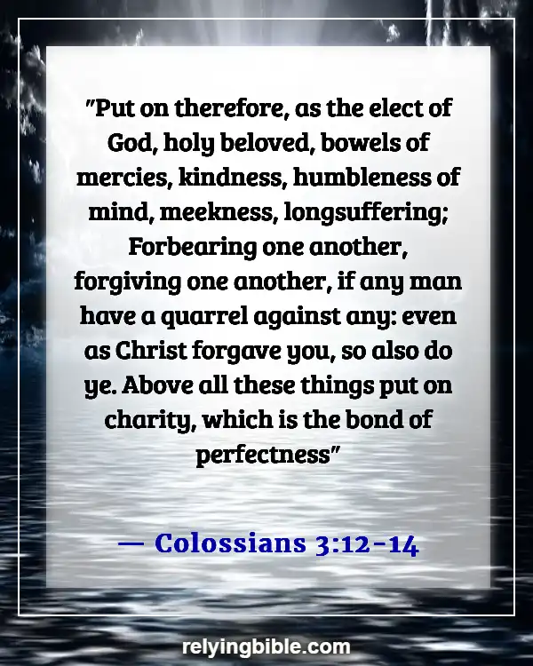 Bible Verses To Feel Better About Yourself (Colossians 3:12-14)