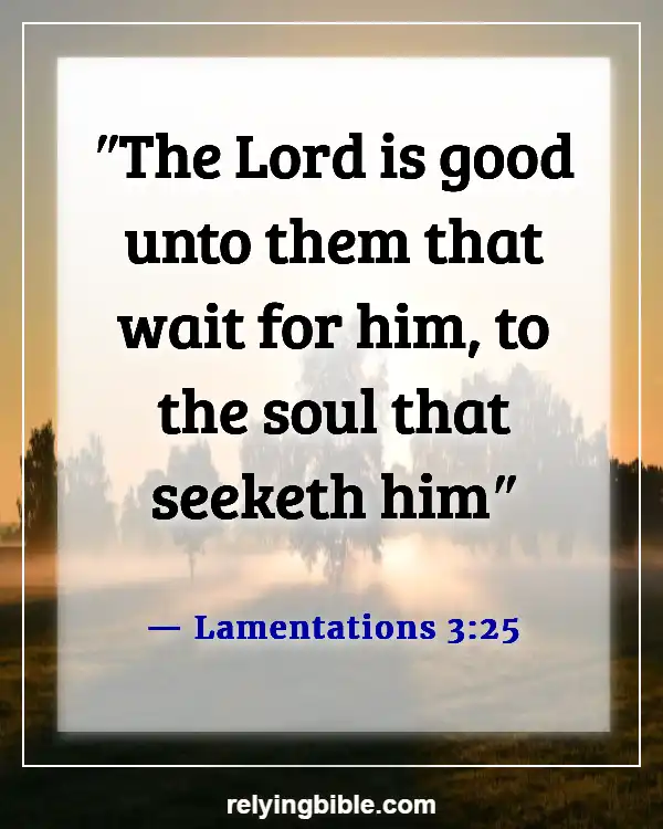 Good Things Will Come To Those Who Wait Bible Verse (Lamentations 3:25)