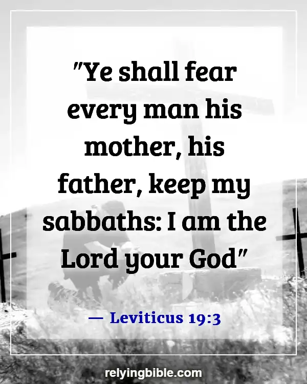 Bible Verses About Taking Care Of Your Elderly Parents (Leviticus 19:3)