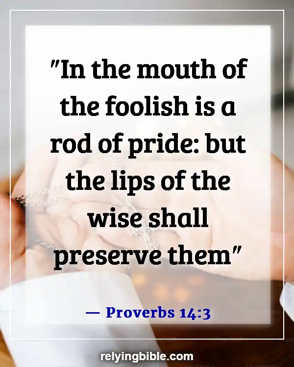 Bible Verse Be Careful What You Say (Proverbs 14:3)