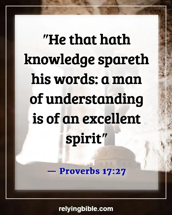 Bible Verse Be Careful What You Say (Proverbs 17:27)