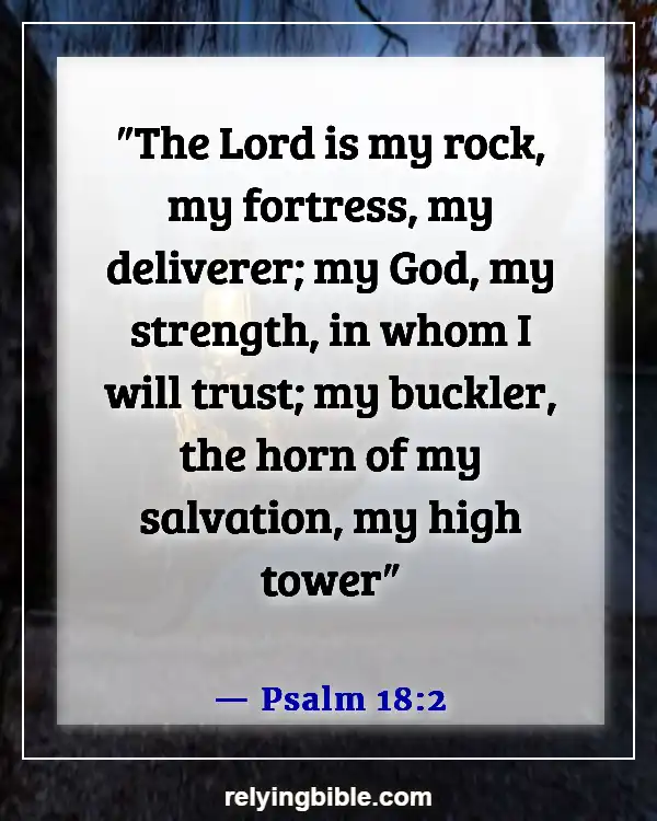 Bible Verse About God Is Our Refuge And Our Strength (Psalm 18:2)